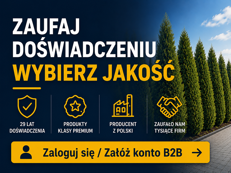 Sklep B2B Elpromet Bydgoszcz – oferta dla firm, logowanie i rejestracja B2B – artykuły elektrotechniczne